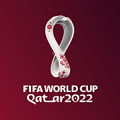 自联合会杯